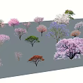 Diverse Arbor Trees With Pink Purple Green And Red Foliage For Landscape Design