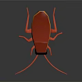 Orange Cockroach With Black Head Long Antennae And Multiple Legs On Dark Background