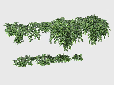 Hanging Green Vines With Lush Leaves In Various Sizes For Decoration 3d model