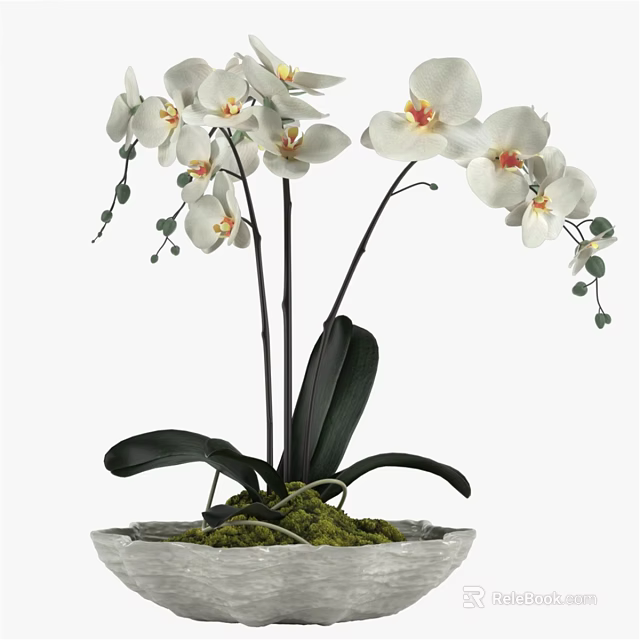 Decorative Ornament Set with White Orchids Black Stems and Green Moss in Stone Pot 3d model 