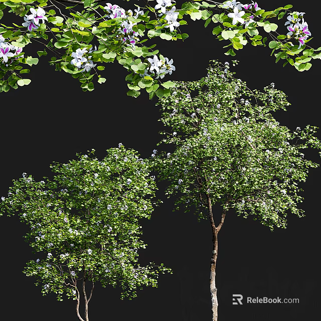 Blooming Arbor Trees With Purple And White Flowers And Green Leaves 3d model 