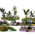 Vibrant Garden Flowers And Plants With Palm Leaves Ferns Purple Blooms And Stones