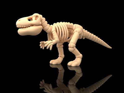 White Dinosaur Skeleton Toy Model With Detailed Bones And Reflection On Black Background 3d model