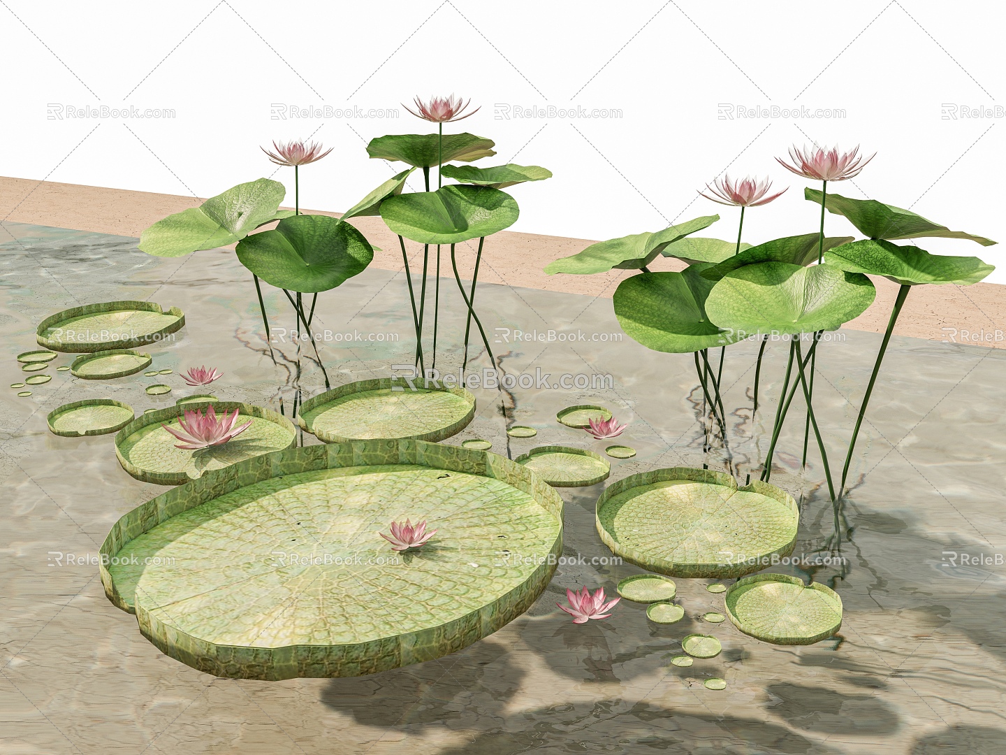 Aquatic plants lotus water lily lotus leaf lotus leaf lotus plant garden landscape model