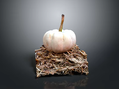 Fresh Small White Pumpkin Displayed On Dry Hay Bale With Gray Backdrop 3d model
