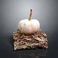 Fresh Small White Pumpkin Displayed On Dry Hay Bale With Gray Backdrop