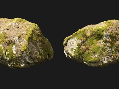 Natural Moss Covered Stones And Wooden Elements Against Black Background 3d model