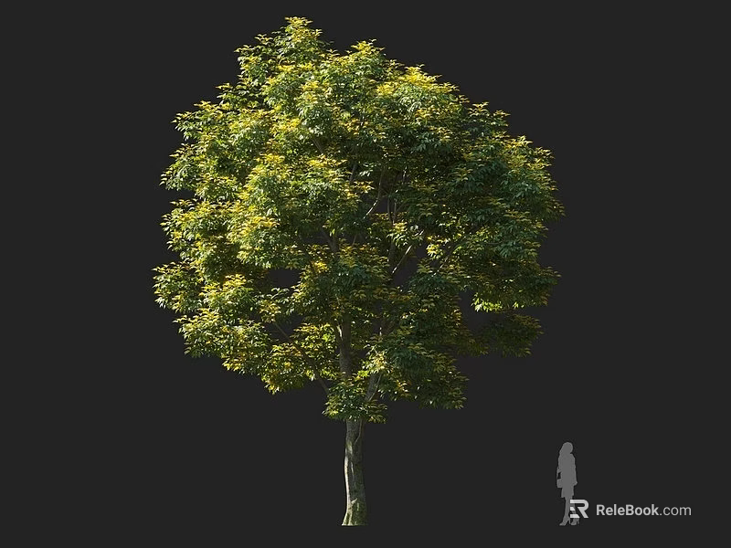 Tall Arbor With Lush Green Foliage And Strong Trunk In Landscape Design 3d model 