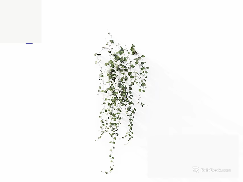 Hanging Green Vine With Cascading Small Leaves As Indoor Decorative Plant 3d model 
