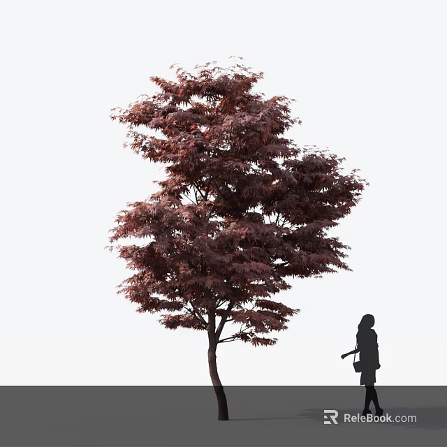 Red Leaved Tree With Dense Foliage And A Silhouette Figure Beside 3d model 