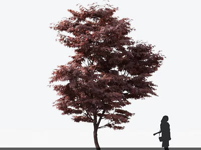 Red Leaved Tree With Dense Foliage And A Silhouette Figure Beside 3d model
