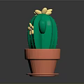 Two Green Cacti in Orange Pots with Yellow Flowers as Decorative Plants