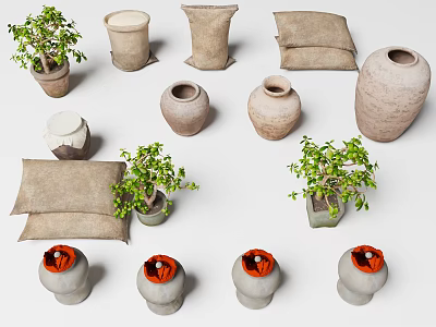 Rustic Home Decor With Earthenware Vases Fabric Pillows And Small Green Plants 3d model