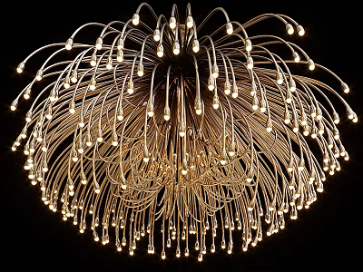 Artistic Modern Ceiling Light Featuring Slender Metal Wires and Warm Glowing Bulbs in Firework Shape 3d model
