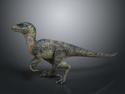 Realistic Velociraptor Dinosaur 3D Model With Detailed Scaly Skin And Dynamic Posture 3d model