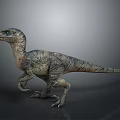 Realistic Velociraptor Dinosaur 3D Model With Detailed Scaly Skin And Dynamic Posture