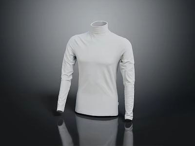 White Turtleneck Long Sleeve Top With Minimalist Design And Comfortable Fit 3d model
