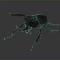 Horned Rhinoceros Beetle With Black Green Body And Red Legs On Grey Background