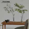 Transparent Glass Vases with Green Leafy Branches on Wooden Table and Black Bowl