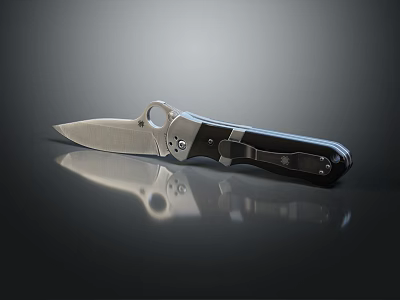 Sharp Silver Blade Folding Knife With Black Handle Circular Hole And Reflective Surface Design 3d model