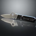 Sharp Silver Blade Folding Knife With Black Handle Circular Hole And Reflective Surface Design 3d model
