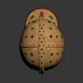 Ancient Warrior Helmet With Gold Decoration And Mythical Creature Motifs