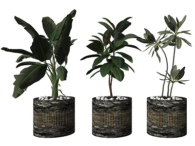 Bonsai Potted Plants Indoor Decor With Lush Green Leaves Textured Pots And White Pebbles 3d model
