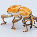 Orange And White Reptile With Spiky Legs And Beak Like Mouth On Light Background