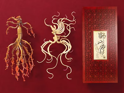 Traditional Chinese Ginseng Roots With Red Gift Box For Natural Health 3d model