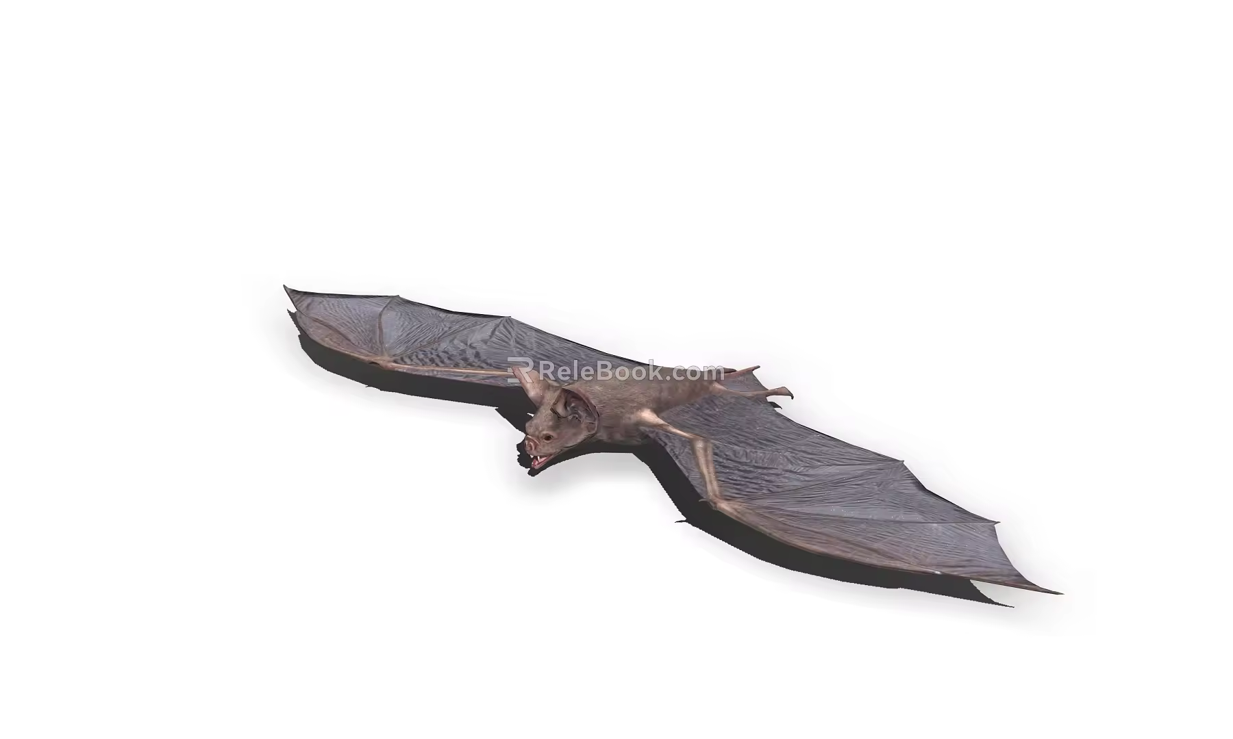 Bat 3d model