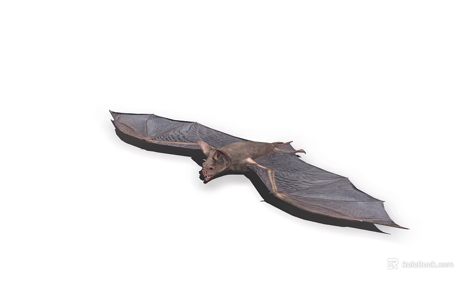 Dark Colored Bat Flying With Spread Leathery Wings Gliding In Mid Air 3d model 