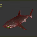 Realistic 3D Rendered Shark With Open Mouth And Sharp Teeth On Grey Background 3d model