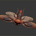 Vibrant Red Beetle With Transparent Red Wings On Dark Background