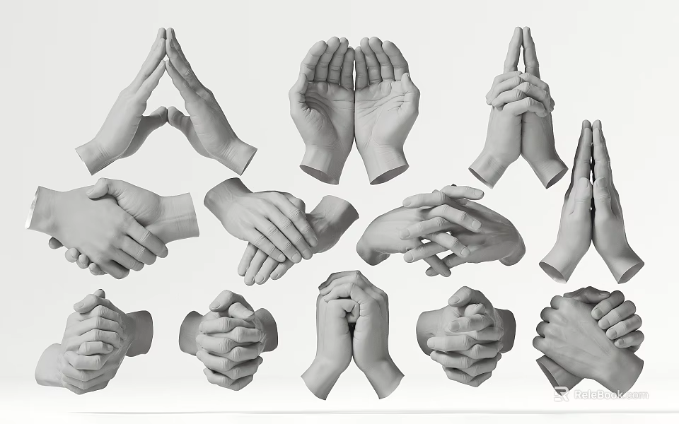 Collection of Various Hand Gestures in Different Poses and Positions 3d model 