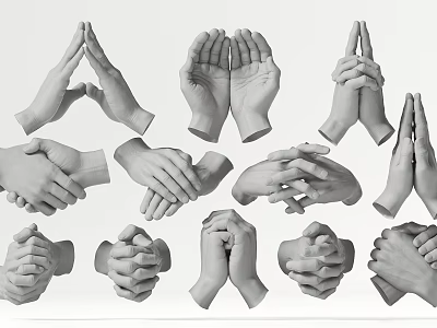 Collection of Various Hand Gestures in Different Poses and Positions 3d model