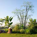 Lush Courtyard Garden With Bamboo Plants Stones White Goose Tree Stump And Green Grass