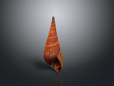 Vibrant Red Marine Mollusk Spiral Shell With Intricate Orange Patterns On Gray Background 3d model