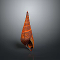 Vibrant Red Marine Mollusk Spiral Shell With Intricate Orange Patterns On Gray Background