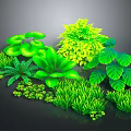 Lush Green Plant Scenery Components With Various Leaves Grass And Bushes