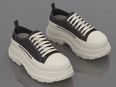 Black And White Casual Lace Up Shoes With Thick Platform White Soles For Daily Wear 3d model