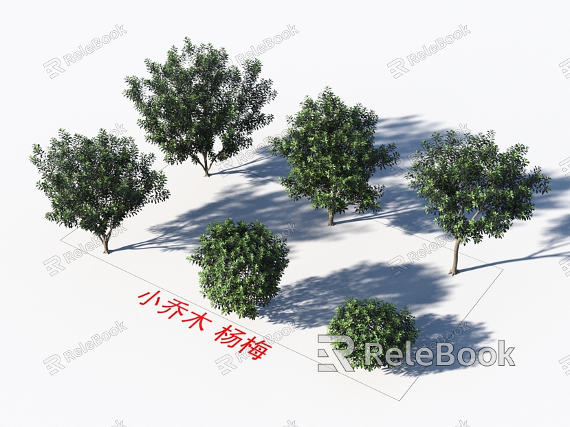 Small trees Myrica rubra plants model