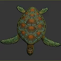 Vibrant Sea Turtle With Colorful Shell And Orange Green Patterns On Gray Background
