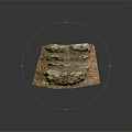 Natural Wood Stone Ground Paving With Irregular Stones And Green Moss