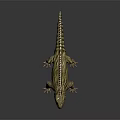 Realistic Green Lizard 3D Model With Open Mouth White Eyes And Back Spines