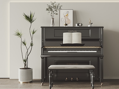 Modern Piano Paint 3d model