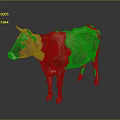 Full Body Brown Cow Standing On Reflective Floor With Gray Background