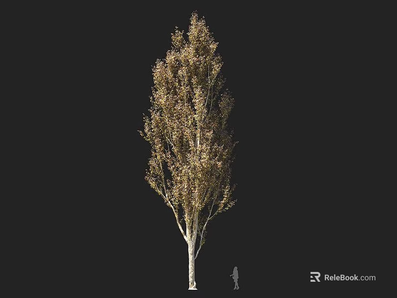 Tall Arbor With Slender Trunk Lush Foliage And Human Figure For Scale 3d model 