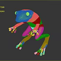 Green Frog Standing With Yellow Eyes And Stretched Limbs On Dark Surface With Reflection