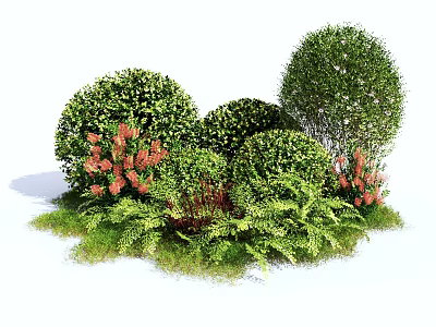 Rounded Green Bushes with Red Blooms and Lush Ferns in Garden 3d model