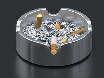 Decorative Ornament Set With Silver Round Ashtray Containing Cigarette Butts And Ash 3d model